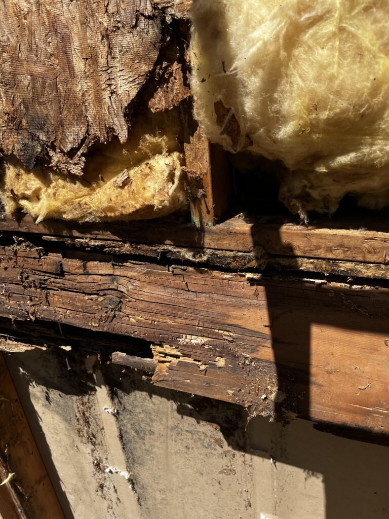 How Effective Insulation Saves Money and Energy